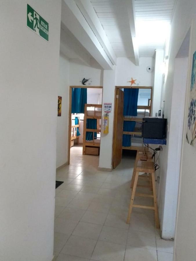 Hostal Palo AltoSan Andrés エクステリア 写真